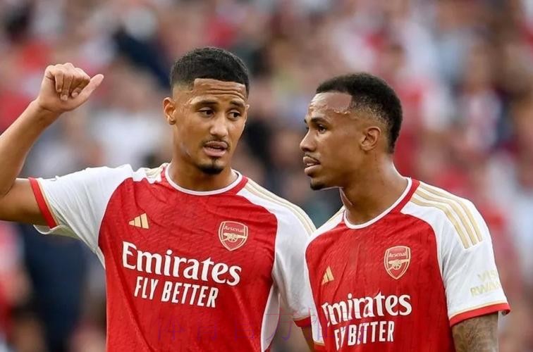 英超中卫组合零封榜:加布&萨利巴47次排名第2 英超中卫组合零封榜:加布&萨利巴47次排名第2